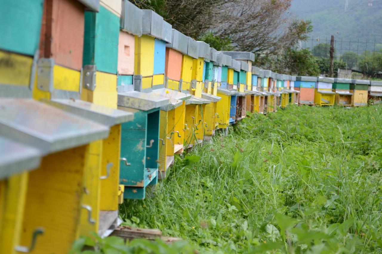 Agriturismo Dalla Natura La Salute Giustino Exterior foto