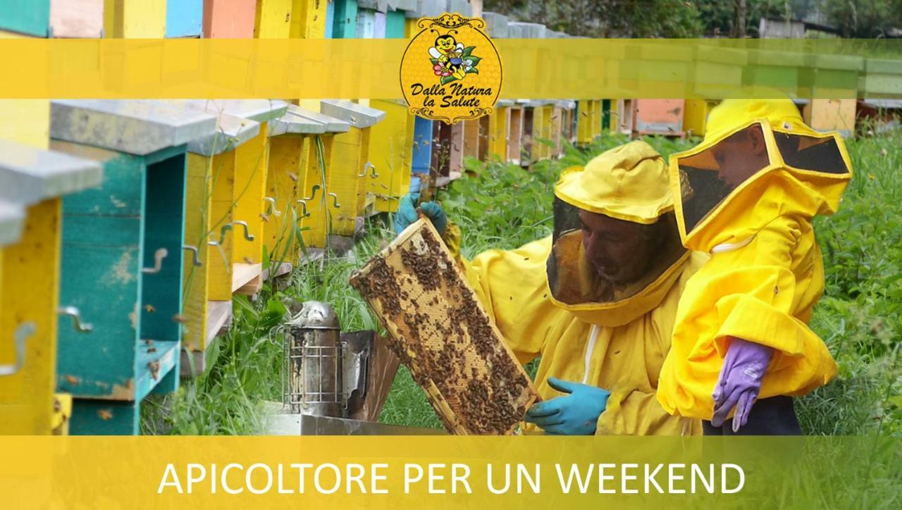 Agriturismo Dalla Natura La Salute Giustino Exterior foto